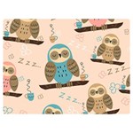 Seamless Pattern Owls Dream Cute Style Pajama Fabric Two Sides Premium Plush Fleece Blanket (Extra Small) 40 x30  Blanket Front