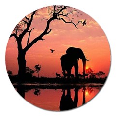 Elephant Landscape Tree Africa Sunset Safari Wild Magnet 5  (round) by Jatiart