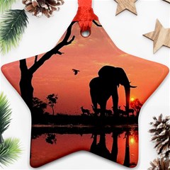 Elephant Landscape Tree Africa Sunset Safari Wild Star Ornament (two Sides)