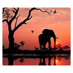 Elephant Landscape Tree Africa Sunset Safari Wild Two Sides Premium Plush Fleece Blanket (Small) 50 x40  Blanket Front