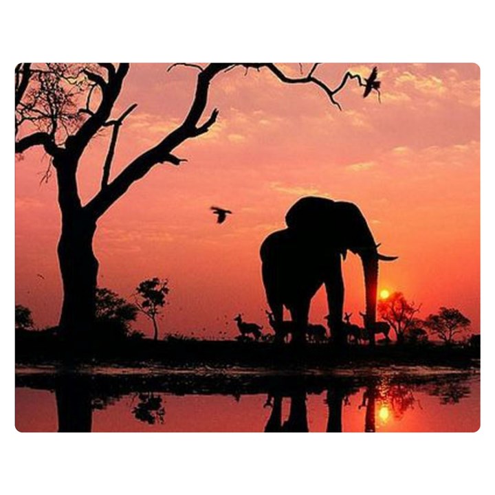 Elephant Landscape Tree Africa Sunset Safari Wild Two Sides Premium Plush Fleece Blanket (Medium)