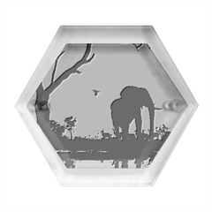 Elephant Landscape Tree Africa Sunset Safari Wild Hexagon Wood Jewelry Box