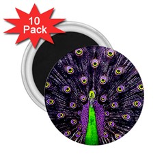 Peacock Bird Color 2 25  Magnets (10 Pack)  by Cendanart