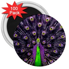 Peacock Bird Color 3  Magnets (100 Pack) by Cendanart