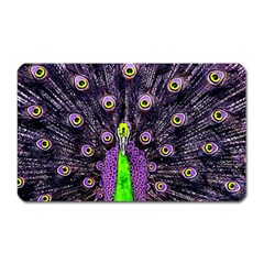 Peacock Bird Color Magnet (rectangular) by Cendanart