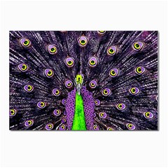 Peacock Bird Color Postcards 5  X 7  (pkg Of 10) by Cendanart