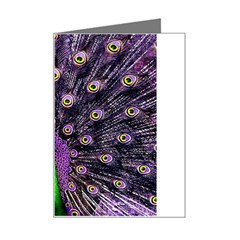 Peacock Bird Color Mini Greeting Card by Cendanart