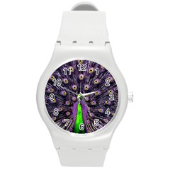 Peacock Bird Color Round Plastic Sport Watch (m) by Cendanart