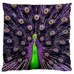 Peacock Bird Color Large Cushion Case (two Sides) by Cendanart