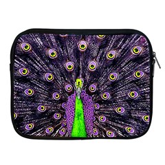 Peacock Bird Color Apple Ipad 2/3/4 Zipper Cases by Cendanart