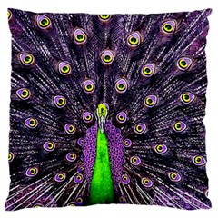 Peacock Bird Color Large Premium Plush Fleece Cushion Case (one Side) by Cendanart