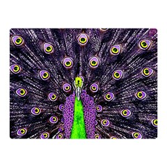 Peacock Bird Color Two Sides Premium Plush Fleece Blanket (mini) by Cendanart