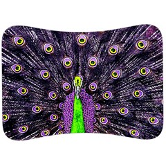 Peacock Bird Color Velour Seat Head Rest Cushion by Cendanart