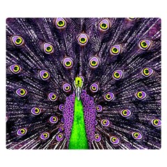 Peacock Bird Color Premium Plush Fleece Blanket (small) by Cendanart