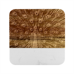 Peacock Bird Color Marble Wood Coaster (square) by Cendanart