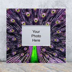 Peacock Bird Color White Wall Photo Frame 5  X 7  by Cendanart