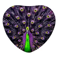 Peacock Bird Color Heart Glass Fridge Magnet (4 Pack) by Cendanart