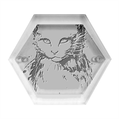 Cat Hexagon Wood Jewelry Box