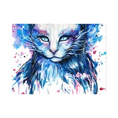 Cat Premium Plush Fleece Blanket (mini)