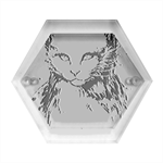 Cat Hexagon Wood Jewelry Box Front