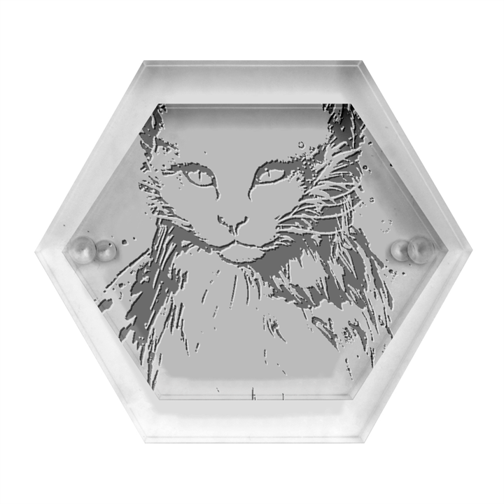 Cat Hexagon Wood Jewelry Box