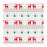 Christmas Medium Glasses Cloth Front