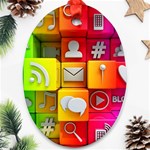 Colorful 3d Social Media Oval Ornament (Two Sides) Front