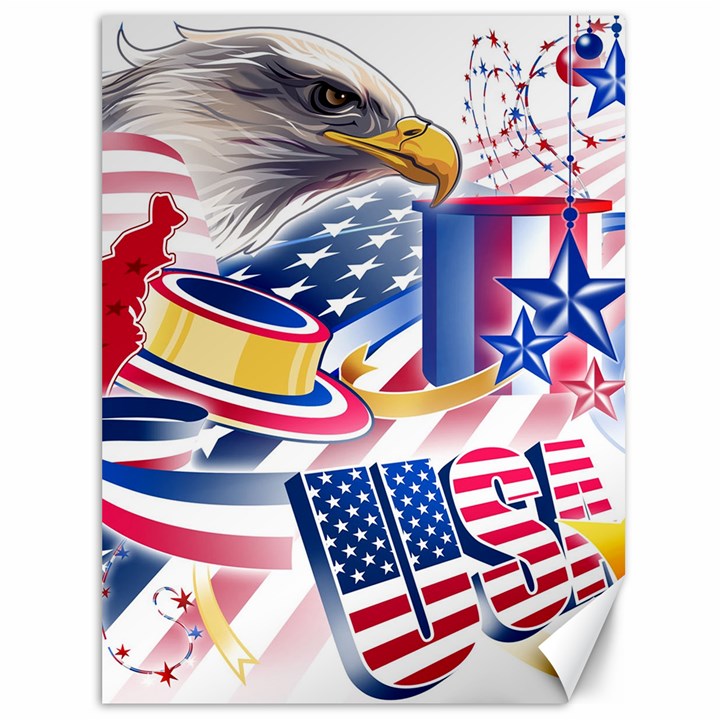 United States Of America Usa  Images Independence Day Canvas 36  x 48 