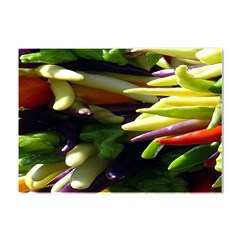 Bright Peppers Crystal Sticker (a4) by Ket1n9