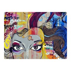 Graffiti Mural Street Art Painting Two Sides Premium Plush Fleece Blanket (mini) by Ket1n9