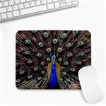 Peacock Small Mousepad Front