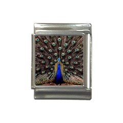 Peacock Italian Charm (13mm) by Ket1n9