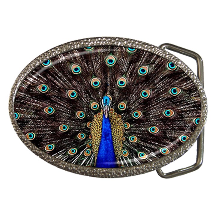 Peacock Belt Buckles