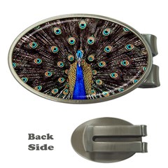 Peacock Money Clips (oval)  by Ket1n9