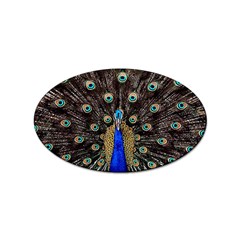 Peacock Sticker Oval (10 Pack) by Ket1n9