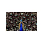 Peacock Sticker Rectangular (100 pack) Front