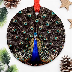 Peacock Round Ornament (two Sides) by Ket1n9