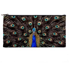 Peacock Pencil Case by Ket1n9