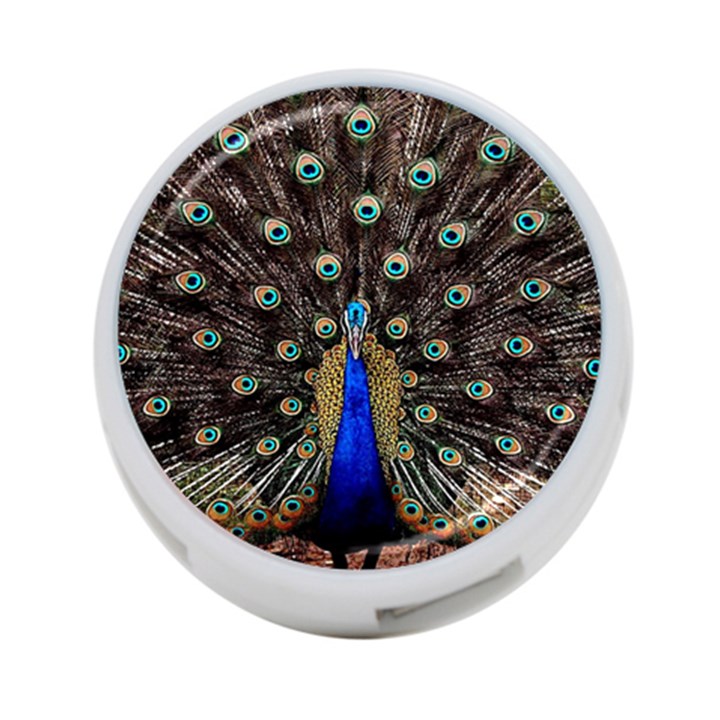 Peacock 4-Port USB Hub (One Side)