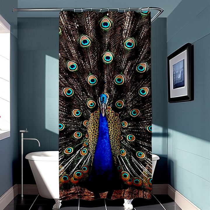 Peacock Shower Curtain 36  x 72  (Stall) 