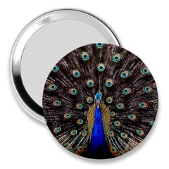 Peacock 3  Handbag Mirrors by Ket1n9