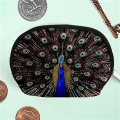 Peacock Accessory Pouch (medium) by Ket1n9