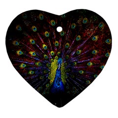 Beautiful Peacock Feather Ornament (heart) by Ket1n9