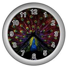 Beautiful Peacock Feather Wall Clock (silver) by Ket1n9