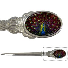 Beautiful Peacock Feather Letter Opener by Ket1n9