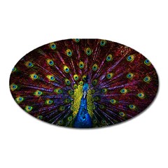 Beautiful Peacock Feather Oval Magnet by Ket1n9