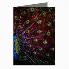 Beautiful Peacock Feather Greeting Cards (pkg Of 8) by Ket1n9