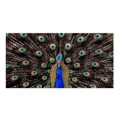 Peacock Satin Shawl 45  X 80  by Ket1n9