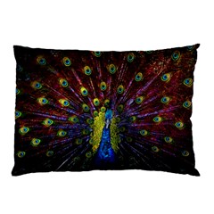 Beautiful Peacock Feather Pillow Case (two Sides) by Ket1n9