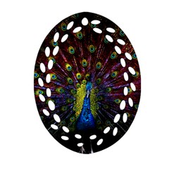 Beautiful Peacock Feather Oval Filigree Ornament (two Sides) by Ket1n9